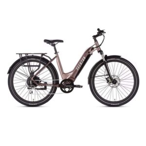 Aventon Level 2 Step Through E-bike