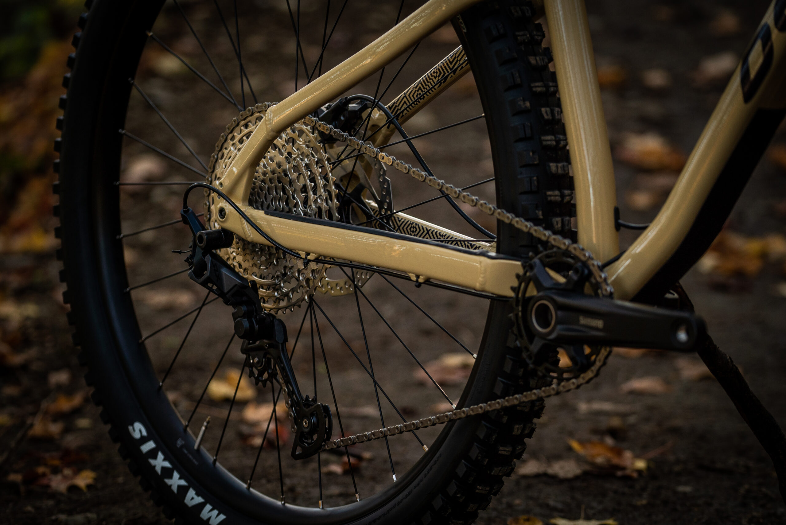 Devinci Kobain SLX 12s - Image 5