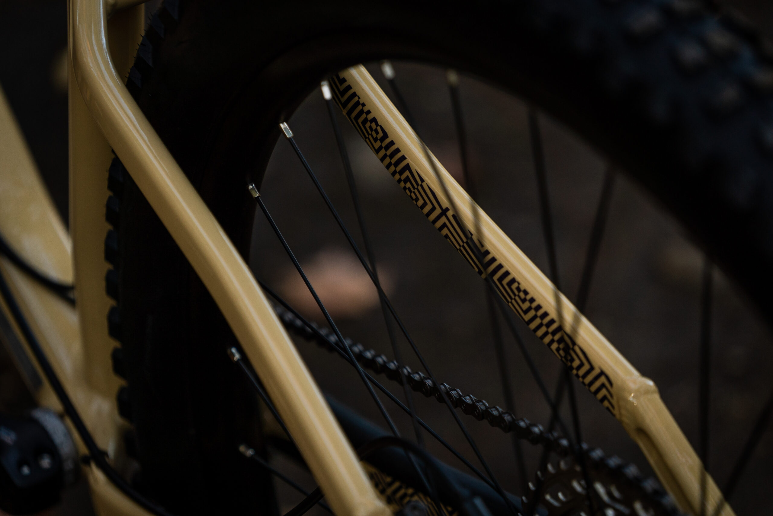Devinci Kobain SLX 12s - Image 3