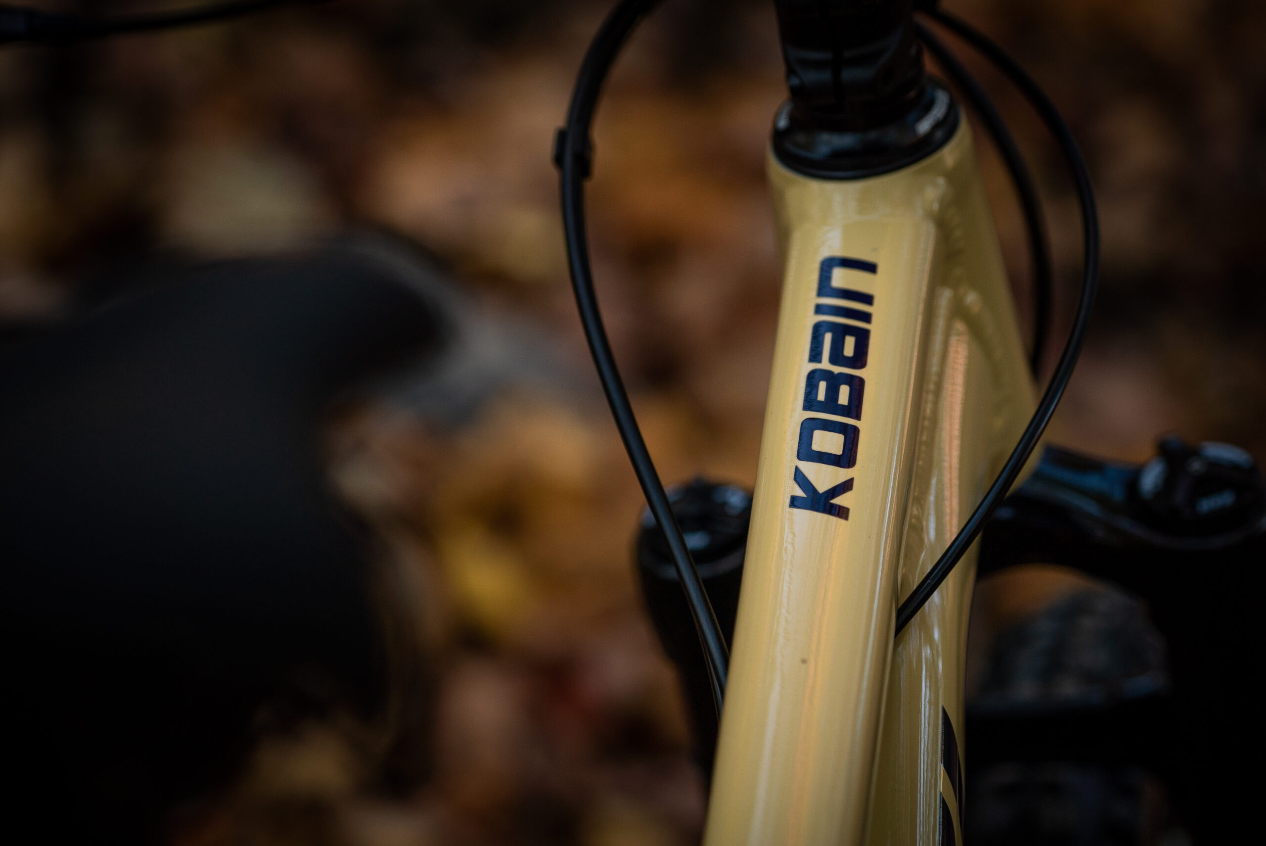Devinci Kobain SLX 12s - Image 2